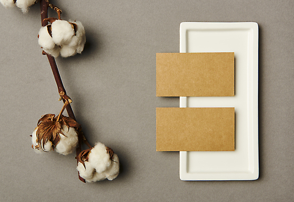 포토 JPG 스튜디오촬영 접시 명함 회색배경 프레임 실내 사람없음 하이앵글 공백 오브젝트 디자인소스 목화꽃 목업 카피스페이스 편집소스 국내포토 식기 꽃 뷰포인트 백그라운드 내부 회색 파일형식