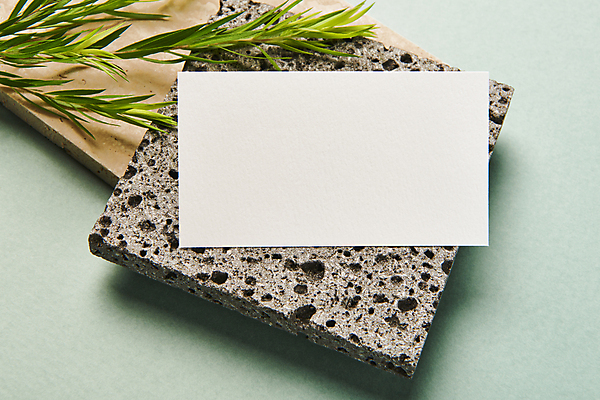 포토 JPG 스튜디오촬영 명함 프레임 실내 사람없음 공백 풀 오브젝트 돌판 디자인소스 목업 카피스페이스 편집소스 초록배경 국내포토 식물 백그라운드 내부 초록색 돌_바위 파일형식