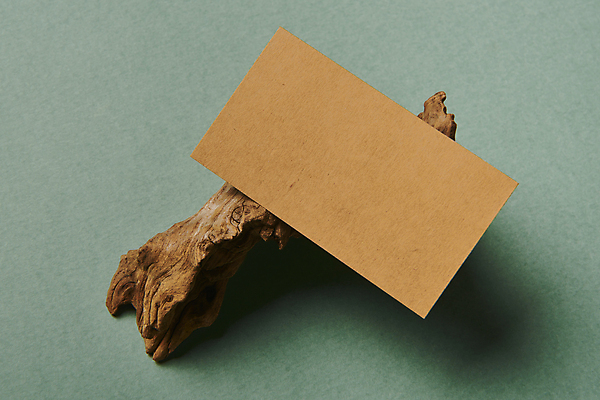 포토 JPG 스튜디오촬영 나무 명함 프레임 실내 사람없음 공백 오브젝트 나무조각 디자인소스 목업 카피스페이스 편집소스 초록배경 국내포토 식물 백그라운드 내부 목재 초록색 파일형식