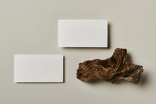 포토 JPG 스튜디오촬영 나무 명함 회색배경 프레임 실내 사람없음 하이앵글 공백 오브젝트 나무조각 디자인소스 목업 카피스페이스 편집소스 국내포토 식물 뷰포인트 백그라운드 내부 목재 회색 파일형식