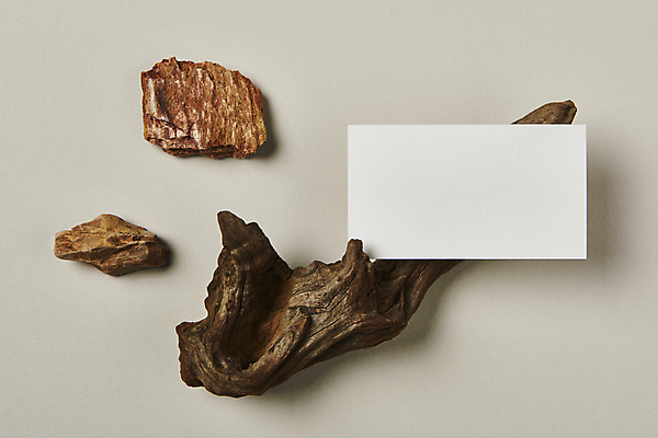 포토 JPG 스튜디오촬영 나무 명함 회색배경 프레임 실내 사람없음 하이앵글 공백 돌_바위 오브젝트 나무조각 디자인소스 목업 카피스페이스 편집소스 국내포토 식물 뷰포인트 백그라운드 내부 목재 회색 파일형식