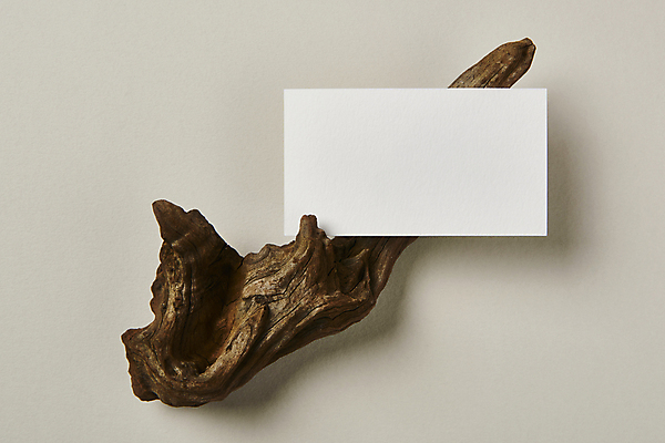 포토 JPG 스튜디오촬영 나무 명함 회색배경 프레임 실내 사람없음 하이앵글 공백 오브젝트 나무조각 디자인소스 목업 카피스페이스 편집소스 국내포토 식물 뷰포인트 백그라운드 내부 목재 회색 파일형식