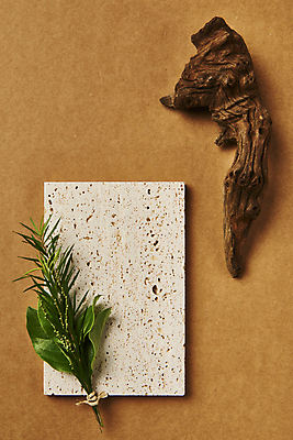 포토 JPG 스튜디오촬영 나무 프레임 실내 사람없음 하이앵글 풀 나무조각 돌판 디자인소스 목업 카피스페이스 편집소스 갈색배경 국내포토 식물 뷰포인트 백그라운드 내부 목재 갈색 공백 돌_바위 파일형식