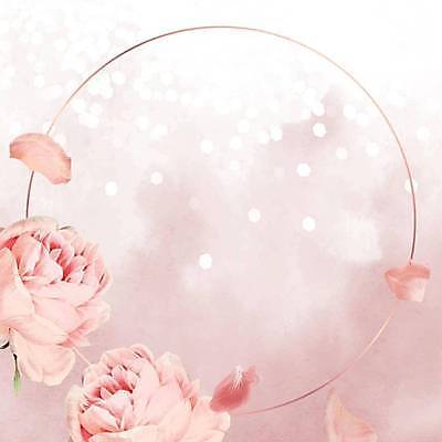 EPS 해외이미지 꽃잎 꽃 분홍색 일러스트 사람없음 원형 원형프레임 꽃프레임 빛망울 해외일러스트 도형 식물 컬러 프레임 빛 파일형식 벡터 이미지허브