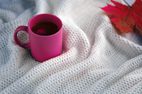 포토 JPG 해외이미지 단풍 실내 따뜻함 사람없음 머그컵 니트 해외포토 상의 잎 내부 컵 파일형식 이미지허브