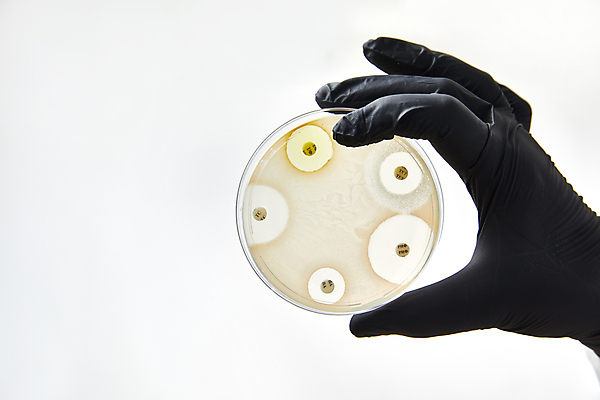 포토 JPG 해외이미지 학생 교육 산업 세포 병원 안전 사람없음 치료 스터디 약 견본 기구 공구 잡기 기술자 보호 질병 위험 컨테이너 연구원 플라스크 분석 오브젝트 감염 해결 박테리아 발견 개발 라텍스 반응 백신 유전 화학자 살균 해외포토 직업 컨셉 의학 모션 실험기구 학습 도구 과학자 파일형식 이미지허브