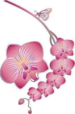 EPS 해외이미지 식물 동물 꽃잎 꽃 실루엣 줄기 분홍색 꽃다발 나비 곤충 백그라운드 잎 꽃무늬 날개 일러스트 자연 동양인 여름 컬러풀 일본 스파 봄 성장 벚꽃 흰색 나뭇가지 난초 그림 호접란 나방 내추럴 이국적 해외일러스트 나무 계절 아시아 컬러 무늬 촬영기법 인종 생태계 파일형식 벡터 이미지허브