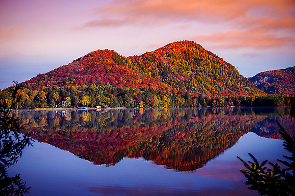 포토 JPG 해외이미지 나무 호수 캐나다 사람없음 물 햇빛 반사 숲 해외포토 자연요소 식물 북아메리카 태양 파일형식 이미지허브