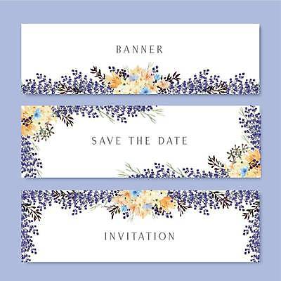 EPS 해외이미지 배너 가로배너 꽃 일러스트 사람없음 보라색 흰색 라벤더 배너세트 해외일러스트 식물 컬러 가로 세트 허브 파일형식 벡터 이미지허브