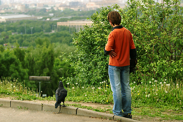 포토 JPG 해외이미지 나무 장갑 운동화 자연 조류 휴식 한명 소년 10대 빨간색 여름 검은색 우정 산책 도시 까마귀 해외포토 식물 동물 1 잡화 계절 남자 어린이 컬러 신발 컨셉 청소년 사람 친구 생태계 파일형식 이미지허브
