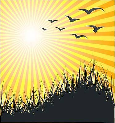 EPS 해외이미지 식물 디자인 계절 백그라운드 잎 패턴 일러스트 자연 조류 아침 추상 옥수수 잔디 그래픽 장식 초록색 빛 태양 환경 일몰 봄 덮개 시골 거친 저녁 이슬 땅 클립 심플 내추럴 땅바닥 해외일러스트 주간 자연요소 동물 컬러 무늬 곡류 바닥 노을 뚜껑 야간 생태계 파일형식 벡터 이미지허브