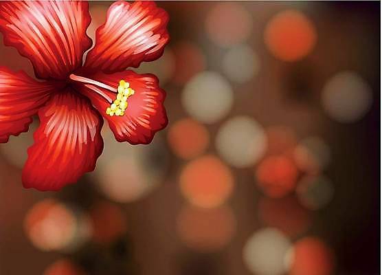 EPS 해외이미지 클립아트 식물 꽃 분홍색 백그라운드 잎 꽃무늬 일러스트 자연 벽지 추상 미술 그래픽 장식 빨간색 유행 봄 수확 벚꽃 그림 클립 하와이 내추럴 엘리먼트 이국적 하와이인 히비스커스 해외일러스트 외국인 계절 컬러 무늬 농업 문화예술 미국 생태계 파일형식 벡터 이미지허브