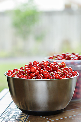 포토 JPG 해외이미지 계절 열매 음식 농업 과일 자연 건강 사람없음 빨간색 쌓기 정원 신선 체리 사발 닫기 달콤 맛 가득함 유기농 날것 흙더미 내추럴 숙성 채식주의자 비건 해외포토 식물 웰빙 산업 컬러 컨셉 모션 흙 사기그릇 생태계 채식 파일형식 더미 이미지허브