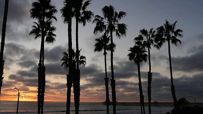 포토 JPG 해외이미지 구름 바다 밤하늘 사람없음 야외 여름 야자수 일몰 여름풍경 야간 해외포토 자연요소 나무 계절 하늘 풍경 노을 파일형식 여름_계절 이미지허브