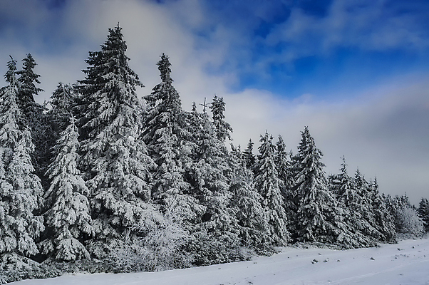 포토 JPG 해외이미지 나무 계절 유럽 여행 겨울 자연 하늘 산 풍경 사람없음 야외 가로 파란색 계곡 얼음 추위 흰색 정상 숲 언덕 서리 체코 내추럴 산악지대 무료 눈내림 가문비나무 해외포토 자연요소 식물 나라 컬러 눈_날씨 생태계 파일형식 이미지허브