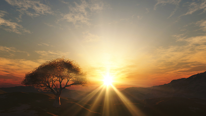 포토 JPG 해외이미지 나무 밭 자연 하늘 아침 사람없음 야외 햇빛 태양 농장 일출 시골 해외포토 주간 자연요소 식물 농업 노을 생태계 파일형식 이미지허브