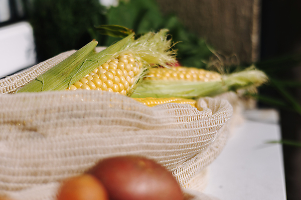 포토 JPG 해외이미지 라이프스타일 잡화 음식 백그라운드 컨셉 인터넷 다이어트 채소 가방 과일 자연 탁자 주택 실내 파슬리 건강 옥수수 요리 사람없음 초록색 쇼핑 상점 주방 저녁식사 재활용 타이핑 신선 면 시장 맛 먹기 준비 에코 유기농 생태계 패키지 온라인 낭비 채식주의자 비건 해외포토 웰빙 컬러 가구 모션 곡류 내부 건물 생활 환경 식사 친환경 채식 파일형식 이미지허브