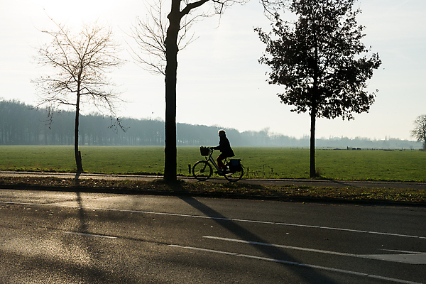 포토 JPG 해외이미지 나무 동물 라이프스타일 공원 실루엣 도로 여행 백그라운드 밭 자연 벽지 하늘 아침 건강 사람 초원 성인 사람없음 야외 빛 운동 햇빛 태양 뷰티 일출 자전거 자유 안개 바퀴 승차 출퇴근 순환 주말 바이킹 해외포토 주간 자연요소 식물 공공시설 길 컨셉 농업 비즈니스 교통시설 모션 날씨 촬영기법 생활 노을 바이크 생태계 파일형식 이미지허브