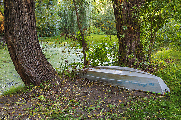 포토 JPG 해외이미지 주간 식물 계절 공원 호수 바다 백그라운드 교통시설 자연 항해 사람없음 야외 초록색 물 여름 수확 연못 보트 작음 철 버리기 노 함선 옛날 해외포토 자연요소 공공시설 컬러 교통 농업 배_교통 모션 크기 시설 생태계 선박 파일형식 이미지허브