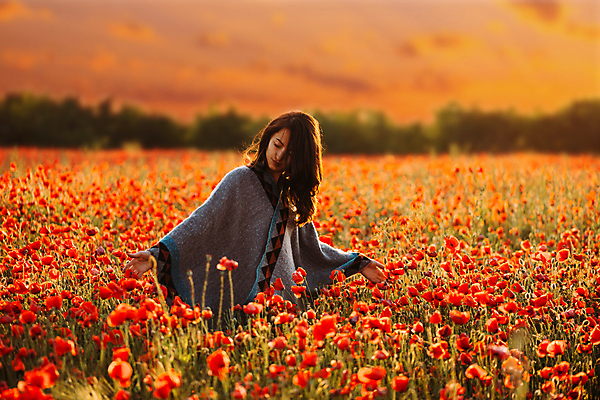 포토 JPG 해외이미지 1 라이프스타일 여자 꽃 밭 자연 휴식 갈색머리 한명 사람 성인 야외 빨간색 걷기 일몰 봄 터치 양귀비 해외포토 식물 헤어스타일 계절 컬러 컨셉 농업 모션 생활 노을 생태계 파일형식 이미지허브