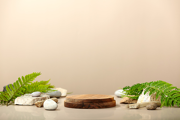 JPG 해외이미지 일러스트 자연 나뭇잎 사람없음 목재 3D 돌_바위 단상 내추럴 베이지색 해외포토 포토 나무 컬러 잎 재료 디지털합성 생태계 파일형식 이미지허브