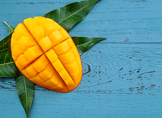 포토 JPG 해외이미지 스튜디오촬영 하늘색 나뭇잎 사람없음 노란색 망고 해외포토 컬러 잎 실내 파란색 열대과일 파일형식 이미지허브