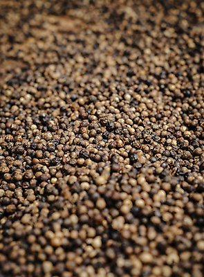 포토 JPG 해외이미지 전통 아시아 음식 백그라운드 재료 건조 동양인 사람없음 닫기 향신료 묘사 유기농 캄보디아 후추 내추럴 섞기 해외포토 웰빙 나라 모션 인종 향미료 파일형식 이미지허브