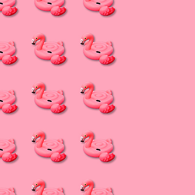 포토 JPG 해외이미지 라이프스타일 디자인 배너 행복 분홍색 컨셉 휴가 사람없음 장식 물 여름 장난감 수영 흰색 반지 자르기 플라밍고 심볼 오브젝트 튜브 고무 고립 카피스페이스 해외포토 자연요소 계절 감정 컬러 장신구 모션 조류 생활 공백 수상스포츠 파일형식 이미지허브