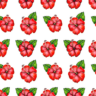 JPG 해외이미지 디자인 백그라운드 잎 꽃무늬 패턴 일러스트 사람없음 패턴백그라운드 열대꽃 히비스커스 해외일러스트 식물 꽃 무늬 파일형식 이미지허브