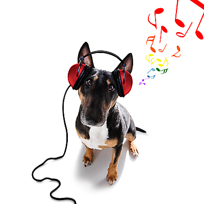 포토 JPG 해외이미지 동물 음악 노래 공 주택 이벤트 사람없음 반려동물 파티 헤드폰 소리 콘서트 거울 듣기 축하 춤 카세트테이프 개 MP3 혼합 야간 DJ 클럽 싱글 디스코 쇼 테이프 주말 비닐 고립 테크노 플레이어 유흥 해외포토 자연요소 음향기기 컨셉 포유류 모션 재질 문화예술 문구용품 건물 전자제품 공연 파일형식 이미지허브