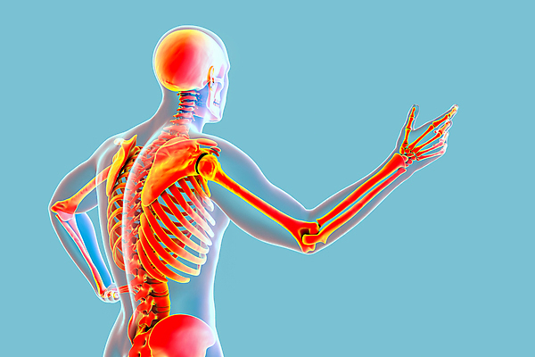 포토 JPG 해외이미지 캐릭터 손 남자 포즈 백그라운드 컨셉 프로포즈 생각 신체 일러스트 손가락 해부 새로움 뼈 아이디어 골격 창조 대화 서기 사람 사람없음 파란색 3D 공연 연주자 할로윈 가리킴 자신감 발표 대표 토론 척추 환영 고립 해골모형 해외포토 감정 컬러 의학 모션 말하기 손짓 이벤트 신체부위 모형 음악가 디지털합성 파일형식 이미지허브