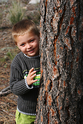 포토 JPG 해외이미지 나무 백인 공원 남자 행복 어린이 밭 바지 자연 놀이 한명 미소 사람 소년 야외 초록색 금발 봄 숲 작음 니트 나무껍질 저지 해외포토 서양인 식물 1 헤어스타일 계절 공공시설 감정 컬러 상의 농업 하의 표정 껍질 크기 생태계 파일형식 이미지허브