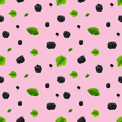 포토 JPG 해외이미지 잎 패턴 사람없음 블랙베리 분홍색배경 해외포토 식물 분홍색 백그라운드 무늬 과일 파일형식 이미지허브