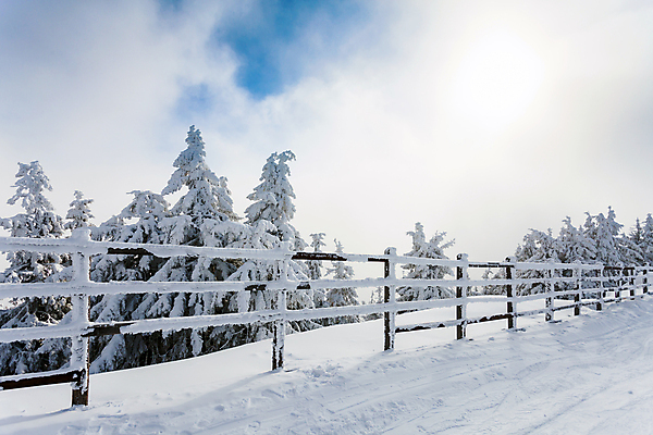 포토 JPG 해외이미지 배너 계절 공원 도로 백그라운드 자연 하늘 휴가 산 풍경 경사 사람없음 야외 울타리 뷰티 냉동 얼음 추위 시골 신선 소나무 숲 접속 12월 휴양지 서리 리프트 장면 봉 상록수 침엽수 탐사 1월 내추럴 2월 삼나무 절정 한계 카피스페이스 해외포토 자연요소 나무 공공시설 길 교통시설 담장 공백 장소 날짜 생태계 파일형식 이미지허브