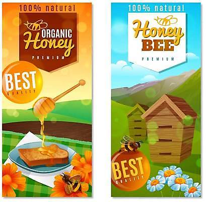 EPS 해외이미지 접시 꽃 두마리 일러스트 타이포그라피 사람없음 농사 꿀벌 토스트 꿀 벌집 양봉 양봉업 허니디퍼 해외일러스트 식물 문자 식기 빵 2 농업 도구 벌_곤충 파일형식 벡터 이미지허브