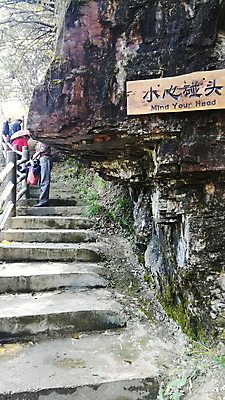 포토 JPG 해외이미지 식물 꽃 백그라운드 꽃무늬 자연 사람없음 초록색 여름 파란색 컬러풀 정원 보라색 봄 벚꽃 수국 해외포토 계절 컬러 무늬 생태계 파일형식 이미지허브