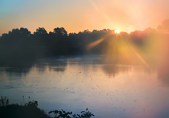 포토 JPG 해외이미지 나무 자연 하늘 아침 사람없음 야외 강 일출 시골 해외포토 주간 식물 노을 생태계 파일형식 이미지허브