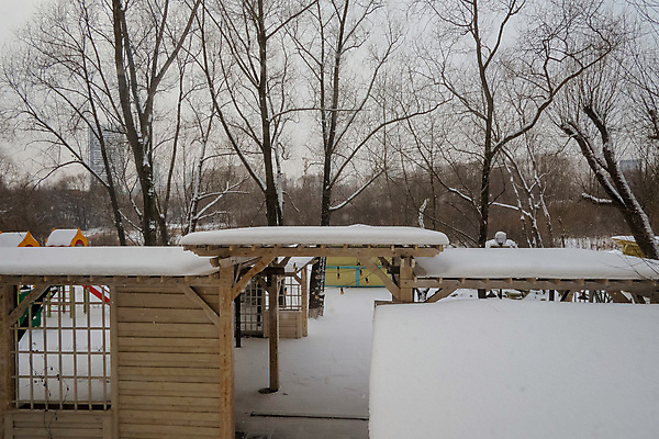 포토 JPG 해외이미지 나무 계절 공원 겨울 자연 날씨 거리 사람없음 야외 건물 목재 평화 환경 냉동 얼음 침묵 추위 흰색 신선 도시 서리 장면 흐림 벌거벗은 폭설 해외포토 자연요소 식물 건축물 공공시설 컬러 컨셉 재료 눈_날씨 소리 자연재해 생태계 파일형식 이미지허브