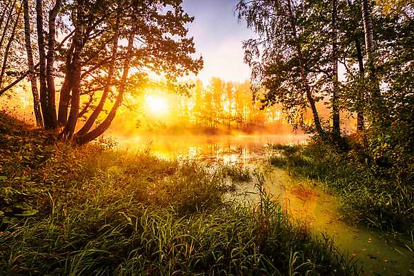 포토 JPG 해외이미지 나무 자연 하늘 사람없음 야외 강 햇빛 태양 일몰 해외포토 자연요소 식물 노을 생태계 파일형식 이미지허브