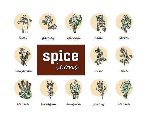 EPS 해외이미지 식물 디자인 잎 일러스트 파슬리 초록색 세트 봄 상추 민트 심볼 사인 유기농 시금치 바질 내추럴 고립 딜 루꼴라 입가심 회향 그리너리 해외일러스트 웰빙 계절 컬러 채소 허브 파일형식 벡터 트랜드컬러 이미지허브