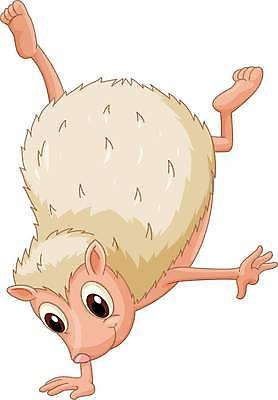 EPS 해외이미지 한마리 일러스트 사람없음 귀여움 물구나무 고슴도치캐릭터 해외일러스트 1 동물캐릭터 컨셉 모션 고슴도치 파일형식 벡터 이미지허브