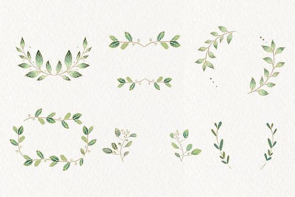 EPS 해외이미지 꽃 줄기 잎 일러스트 프레임 사람없음 세트 원형 엘리먼트 해외일러스트 도형 식물 파일형식 벡터 이미지허브