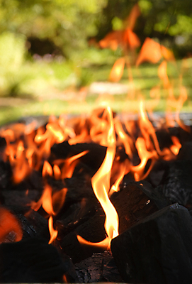 포토 JPG 해외이미지 불 불꽃 따뜻함 요리 사람없음 야외 여름 뜨거움 핥기 바비큐 보케 숯 해외포토 자연요소 계절 음식 모션 파일형식 이미지허브