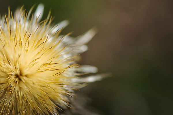 포토 JPG 해외이미지 나무 식물 손 꽃 지구 어린이 백그라운드 잎 꽃무늬 농업 자연 새로움 선물 씨앗 사람 사람없음 초록색 여름 컬러풀 뷰티 새싹 환경 정원 봄 성장 보호 보석 원예 먼지 돌봄 땅바닥 모종 생태학 처음 해외포토 계절 교육 산업 컬러 컨셉 무늬 모션 바닥 취미 신체부위 광석 생태계 파일형식 이미지허브