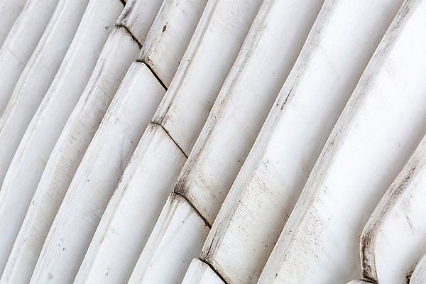 포토 JPG 해외이미지 벽 백그라운드 패턴 표면 날씨 사람없음 야외 목재 울타리 정원 흰색 거친 닫기 널 천 질감 먼지 내추럴 수목 옛날 줄서기 해외포토 나무 컬러 무늬 재료 모션 담장 직물 파일형식 이미지허브