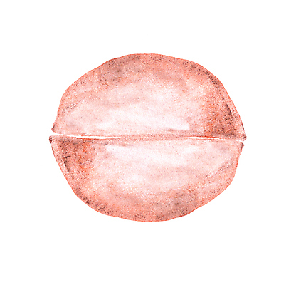 포토 JPG 해외이미지 손 디자인 종이 백그라운드 패턴 일러스트 추상 수채화 창조 미술 사람없음 그래픽 파란색 컬러풀 갈색 노란색 페인트 활발 수확 붓 점 얼룩 거친 그리기 액체 떨어짐 스케치 사인 부식 싱글 그림 질감 페인트붓 구성 엘리먼트 파스텔톤 아크릴 효과 해외일러스트 컬러 컨셉 무늬 농업 모션 재질 문화예술 신체부위 파일형식 이미지허브