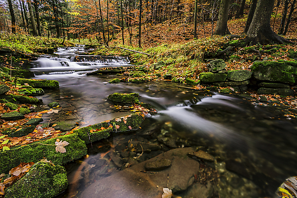 포토 JPG 해외이미지 나무 식물 계절 공원 유럽 길 여행 잎 자연 휴식 사람없음 야외 가로 초록색 물 강 컬러풀 환경 침묵 폭포 신선 개울 숲 상쾌 장면 10월 내추럴 해외포토 자연요소 공공시설 감정 나라 컬러 컨셉 소리 날짜 생태계 파일형식 이미지허브