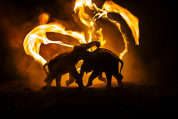 포토 JPG 해외이미지 동물 실루엣 야생동물 포즈 백그라운드 2 오렌지 비즈니스 포유류 가족 아프리카 자연 놀이 불 추상 코끼리 함께함 초원 사람없음 장식 빛 노란색 어둠 힘 경쟁 대립 미니어처 터치 황무지 체스 야간 큼 인도인 사파리 싸움 전쟁 상아 멸종 연소 해외포토 자연요소 외국인 나라 컬러 컨셉 무늬 과일 관계 모션 촬영기법 동양인 모형 크기 생태계 파일형식 이미지허브