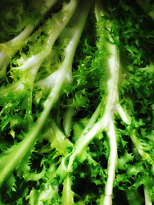 포토 JPG 해외이미지 식물 1 라이프스타일 접시 음식 백그라운드 잎 다이어트 토마토 채소 재료 자연 건강 사람없음 빨간색 초록색 갈색 식당 정원 검은색 식사 저녁식사 이탈리아 샐러드 젖음 흰색 신선 닫기 기름 상추 먹기 허브 오브젝트 싱글 유기농 질감 칼로리 비타민 내추럴 고립 채식주의자 해외포토 식기 웰빙 유럽 컬러 모션 생활 상점 생태계 채식 영양소 파일형식 이미지허브