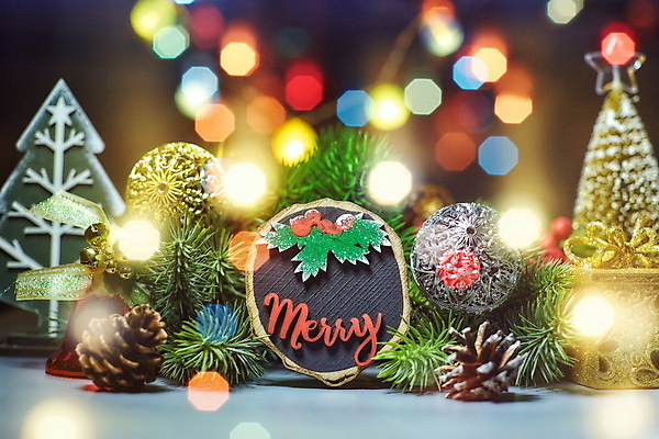 포토 JPG 해외이미지 나무 배너 계절 백그라운드 컨셉 크리스마스 겨울 탁자 휴가 새로움 주택 프레임 선물 사람없음 목재 장식 우주 축제 수확 흰색 나뭇가지 축하 신용카드 눈송이 플랫 정상 연도 책상 레이아웃 복고 엽서 위치 전나무 원뿔 구성 국경 해외포토 도형 식물 기념일 컬러 가구 농업 재료 눈_날씨 건물 금융 편지 파일형식 이미지허브